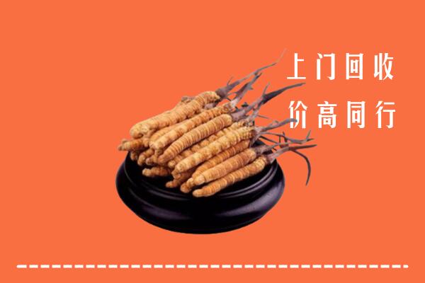 附近收购：镇江市回收散虫草