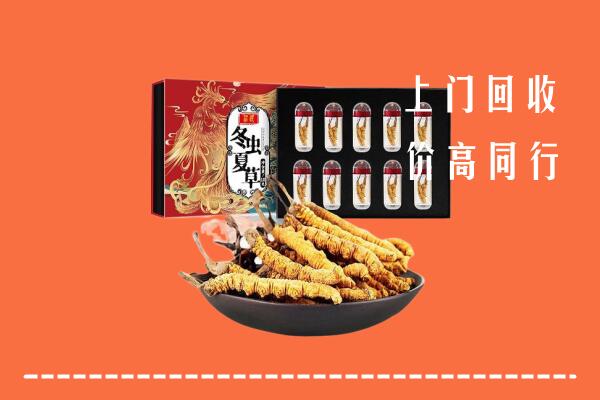 附近收购：镇江市回收虫草
